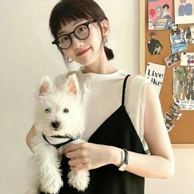 少数派报告