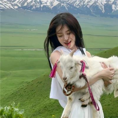 笼子在寻找小鸟